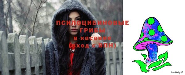 спиды Михайловка