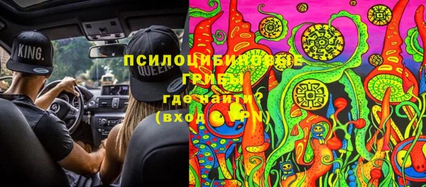 спиды Михайловка