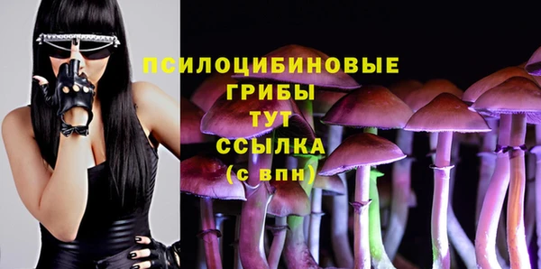 эйфоретик Михайлов