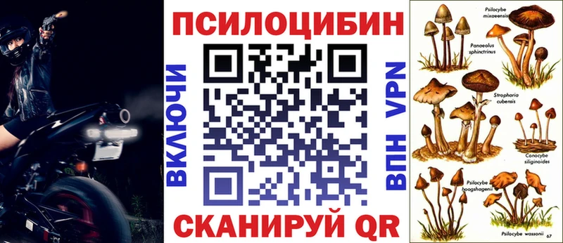 Купить где  Красноуральск  Галлюциногенные грибы Cubensis 